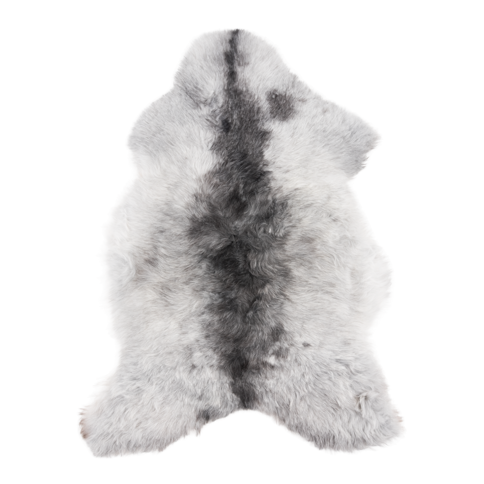 2950013897877_1 (Ecom)