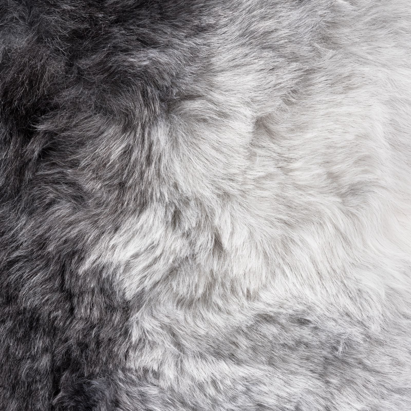 2950013897877_2 (Ecom)